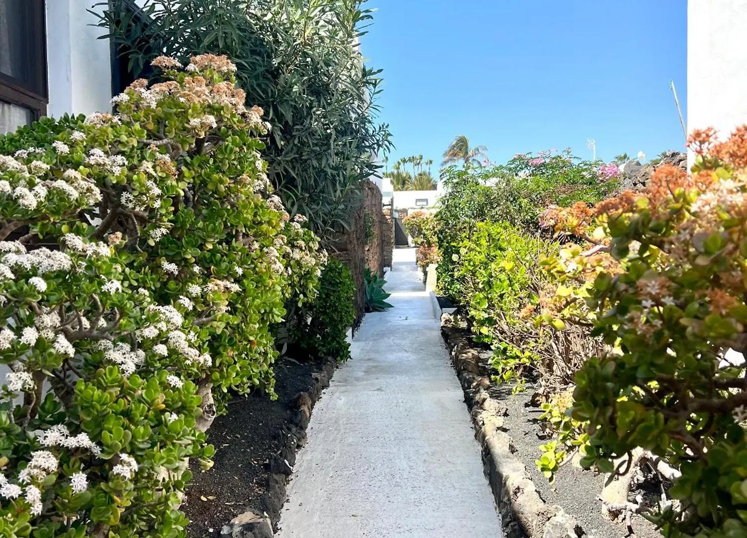 Hébergement de vacances Villa Oasis En Lanzarote à Costa Teguise Espagne