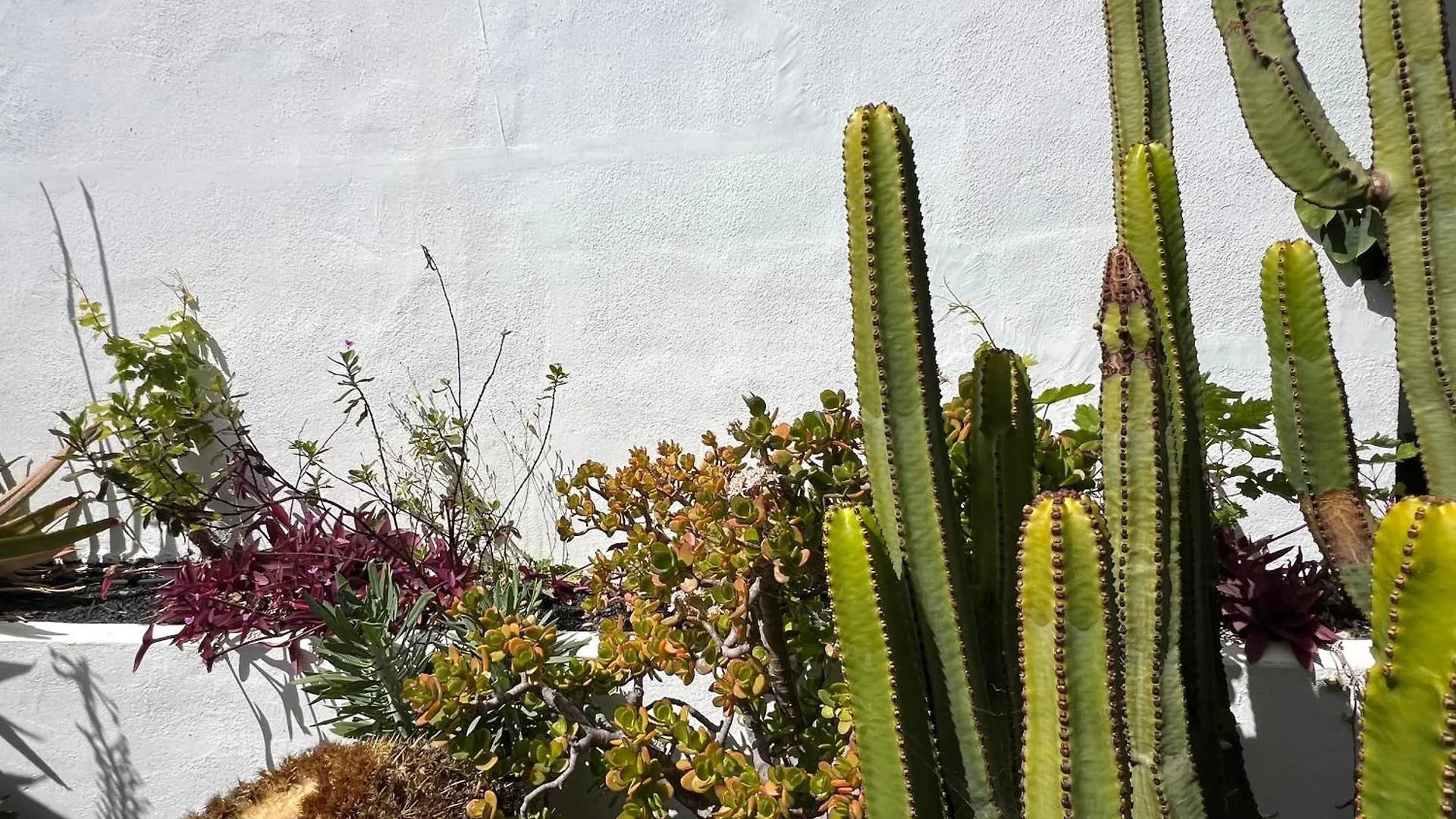 Villa Oasis En Lanzarote à Costa Teguise Hébergement de vacances
